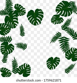 Vector tropical pattern from colorful foliage. Festive decoration. Beautiful spring garden. Summer garden. Summer tropical leaf. Natural spring style.