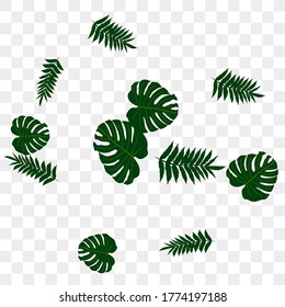 Vector tropical pattern from colorful foliage. Festive decoration. Beautiful spring garden. Summer garden. Summer tropical leaf. Natural spring style.