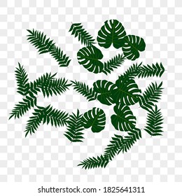 Vector tropical pattern from colorful foliage. Festive decoration. Beautiful spring garden. Summer garden. Summer tropical leaf. Natural spring style.