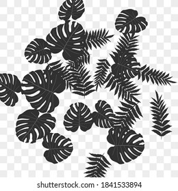 Vector tropical pattern from colorful foliage. Festive decoration. Beautiful spring garden. Summer garden. Summer tropical leaf. Natural spring style.