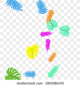 Patrón tropical vectorial a partir de follaje colorido. Decoración festiva. Hermoso jardín primaveral. Jardín de verano. Hoja tropical de verano. Estilo primaveral natural.