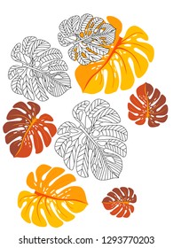 Vector tropical pattern with jungle leaves decor, fabric background. Floral jungle ornament with monstera leaf tropical pattern. Philodendron or monstera plant background.
