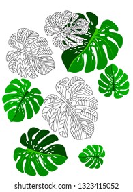 Vector tropical pattern with jungle leaves decor, fabric background. Floral jungle ornament with monstera leaf tropical pattern. Philodendron or monstera plant background.
