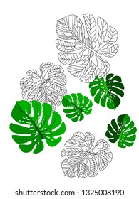 Vector tropical pattern with jungle leaves decor, fabric background. Floral jungle ornament with monstera leaf tropical pattern. Philodendron or monstera plant background.