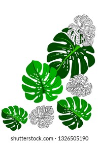 Vector tropical pattern with jungle leaves decor, fabric background. Floral jungle ornament with monstera leaf tropical pattern. Philodendron or monstera plant background.