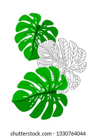 Vector tropical pattern with jungle leaves decor, fabric background. Floral jungle ornament with monstera leaf tropical pattern. Philodendron or monstera plant background.