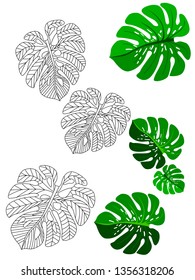 Vector tropical pattern with jungle leaves decor, fabric background. Floral jungle ornament with monstera leaf tropical pattern. Philodendron or monstera plant background.
