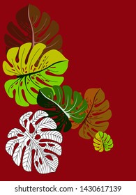 Vector tropical pattern with jungle leaves decor, fabric background. Floral jungle ornament with monstera leaf tropical pattern. Philodendron or monstera plant background.