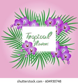 Vector tropical pattern with orchids. Exotic leaves and flowers are twisted and have a rectangular label.