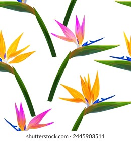 Vector tropical pattern. Paradise flowers on a white background, bright tropical pattern