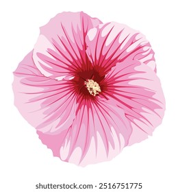 Vector tropical pink hibiscus flower isolated on white background.
