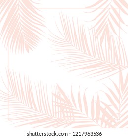 Vector tropical pink palm leaves on white background