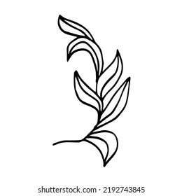 Planta tropical vectorial con hojas grandes.