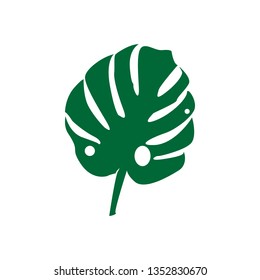 Vector. Tropical plant monstera isolated on white background