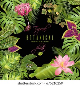 Vector tropical plants frame with monstera, banana leaves, flowers and little frog on black. Exotic design for cosmetics, spa, perfume, health care products. Can be used as wedding, summer background