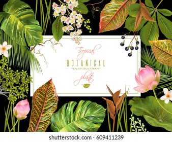 Vector tropical plants horizontal banner on black background. Exotic floral design for cosmetics, perfume, health care products, aromatherapy. Can be used as wedding invitation. With place for text.