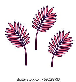 Vector tropical plants and leaves