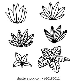 Vector tropical plants and leaves