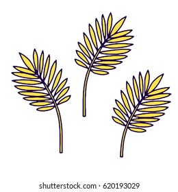 Vector tropical plants and leaves