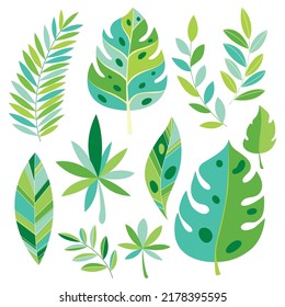 Vector tropical plants and leaves. Botanical exotic leaves. Tropical Leaves Vector Herbal ClipArt