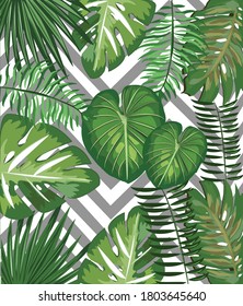 vector tropical plants and leaves  seamless background