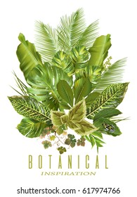 Vector tropical plants vertical composition on white background. Exotic botanical design for cosmetics, perfume, health care products, aroma. Can be used as wedding invitation. With place for text