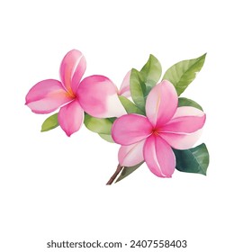 Vector tropical Plumeria, Protea, Banana flowers clipart's isolated without background. Botanical watercolour illustration of tropical plants. Perfect for cards, invitations, wedding and summer design