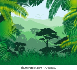 Vector tropical rainforest