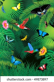 vector tropical rainforest with humming-bird and butterflies