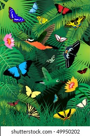 vector tropical rainforest with humming-birds and butterflies