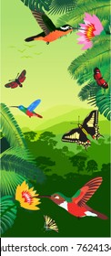 vector tropical rainforest with humming-birds and butterflies