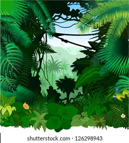 Vector tropical rainforest Jungle