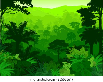 Vector Tropical Rainforest Jungle