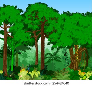 Vector Tropical Rainforest Jungle