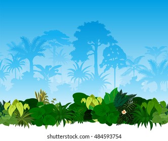 Vector tropical rainforest jungle