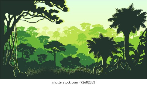 Vector Tropical Rainforest Jungle