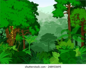 Vector Tropical Rainforest Jungle Background Stock Vector (Royalty Free ...