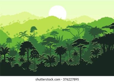 Vector tropical rainforest Jungle background