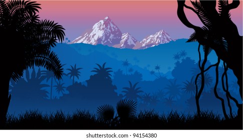 Vector tropical rainforest Morning