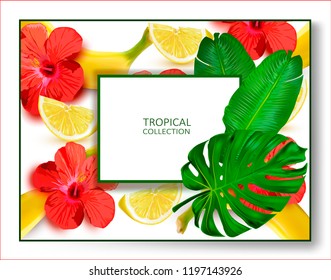 Vector Tropical red Hibiscus.Banana.Lemon.Pattern with Bananas and Palm Leaves.Floral Background.Wallpaper.Textile.Fabric.Web Page backgrounds.Botanical illustration for design or print.