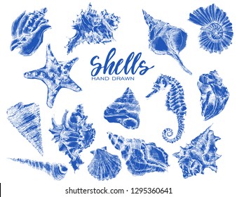 Vector tropical sea shells. Seashell set isolated.Hand drawn illustrations of engraved line.Collection of sketches various mollusk sea shells different forms.Sea shell, mollusk,sea shell,nautilus