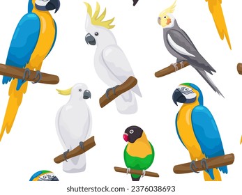 Patrón vectorial tropical sin costuras con loros australianos. Caricatura adorable pájaro amor, cacatú, ara, macaw sentado en una rama. Hablando de pájaros exóticos brillantes y realistas. Impresión de playa de verano de estilo creativo