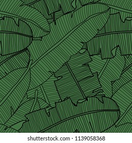 Vector tropical seamless pattern with banana leaves. Exotic plants in green color. Abstract hand drawn textile print.