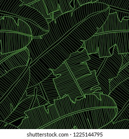 Vector tropical seamless pattern with banana leaves. Exotic plants in black and green colours. Hand drawn textile print.