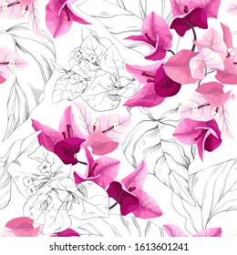 Vector tropical seamless pattern with bougainvillea. Exotic floral background design. svg