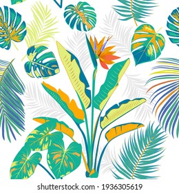 Vector tropical seamless pattern with colorful palm tree leaves  and flowers. Botany light background, jungle  wallpaper.