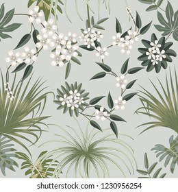 Vector tropical seamless pattern in olive green colors. Botany design. Can be used for brochure template, poster, wedding invitation or card design with jungle leaves for cosmetics, spa, beauty salon.