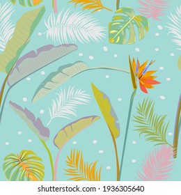 Patrón vectorial tropical sin costuras con palmeras y hojas y flores estrelitzia. Fondo de la luz botánica, papel tapiz de la jungla.