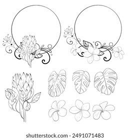 Vector tropical set - circle frame with proteas, monstera leaves, and plumerias. Freehand drawing, design doodle element. Black circuit silhouette