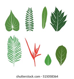 Vector tropical set of different leaves vector illustration isolated on white. Collection of green tree leaf natural element floral color garden art.